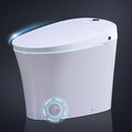 R&T Smart Toilet with Bidet Build in, One Piece Modern Toilet for Bathroom, Elongated Tankless Tolilets with Auto Flush, Night Light, Heated Seat, Warm Water, Air Dryer, Deodorization E16