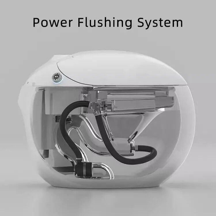 Smart Toilet with Egg Design Semi-Automated with Air Dryer