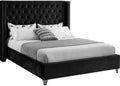 Meridian Furniture Aiden Collection Modern | Contemporary Velvet Upholstered Bed with Deep Button Tufting, Solid Wood Frame, and Custom Chrome Legs, Queen, Black