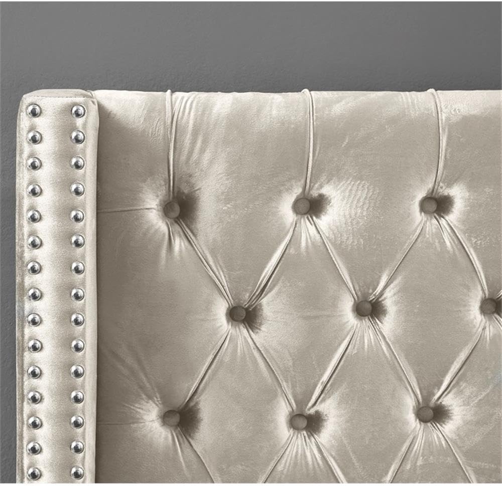 Meridian Furniture Aiden Collection Modern | Contemporary Velvet Upholstered Bed with Deep Button Tufting, Solid Wood Frame, and Custom Chrome Legs, Queen, Cream