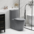 Elongated One Piece Toilet with Comfort Chair Seat ADA Height 17.3' Modern Toilet for Bathroom, Dual Flush 0.8/1.6 GPF and MAP 1000g, 12' Rough-In, Soft Closing Seat, Light gray