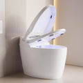 Modern Smart Toilet, One-Piece Elongated with Built-in Bidet, Heated Seat, Foot Sensor Flushing, Warm Air Dryer, Remote Control for Lid Open/Close