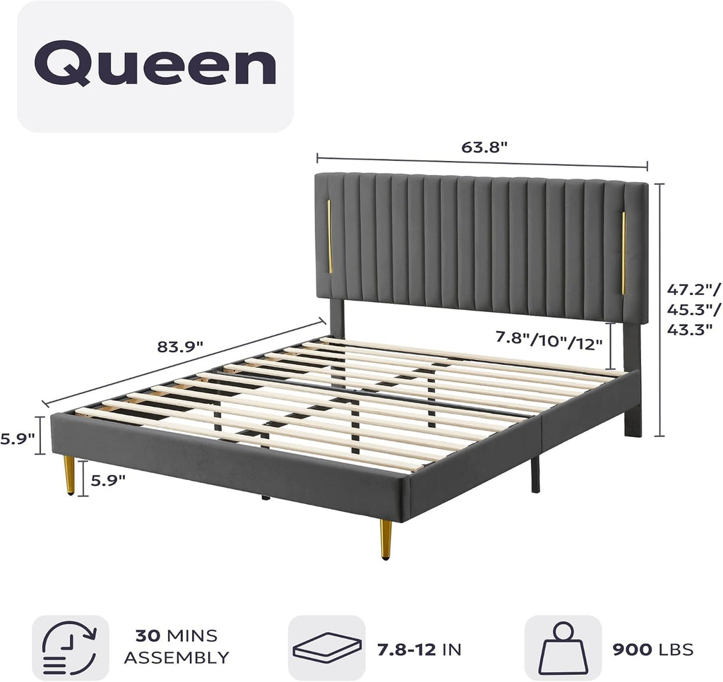Furnify Queen Platform Bed Frame, Velvet Upholstered Bedframe with Vertical Channel Adjustable Headboard, Golden Plating Trim, Mattress Foundation with Wooden Slats, No Box Spring Needed, Grey