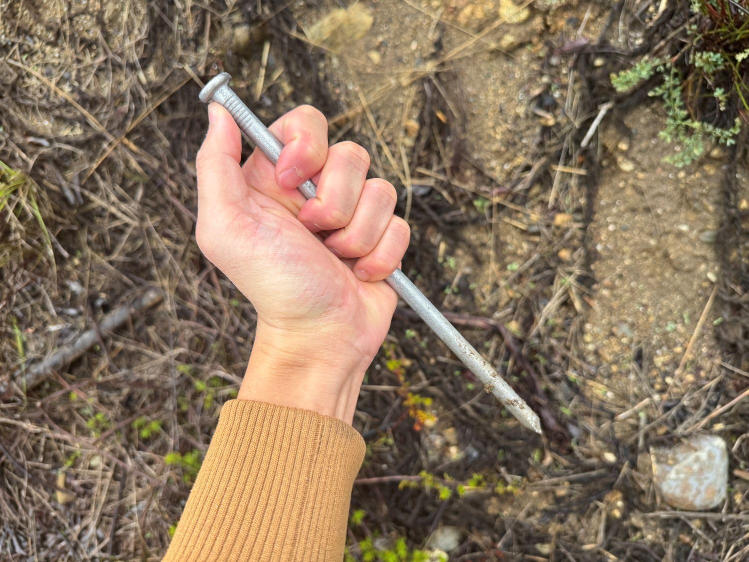 Sandbaggy 3/8' x 12' Landscape Spike Nails - Galvanized Timber Spikes - Construction, Landscape Edging, Framing, Landscape Fabric (3/8' x 12' (Galvanized), 640)