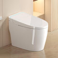 One Piece Toilet,Smart Toilet with Bidet Built In,Ceramic Toilet with Dryer and Warm Water, Intelligent Toilet Auto Open/Close Seat,Heated Seat,White