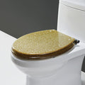 Toilet Seat Resin Glitter Toilet Seat, Sparkle Toilet Seat Cover Round Oval, Easy Installation and Cleaning, Soft Close Toilet Seat (Gold)
