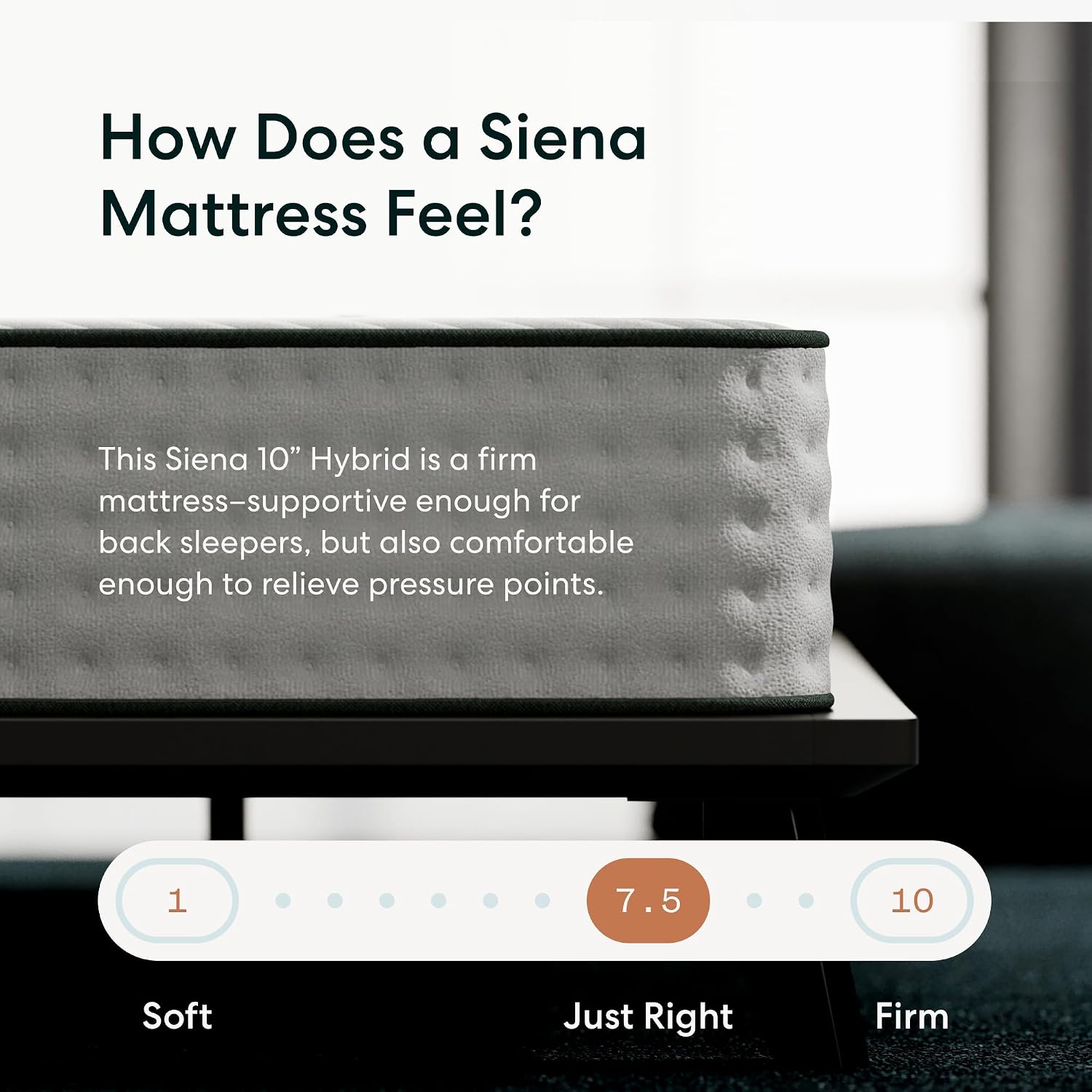 Siena 10' Cal King Hybrid Firm Mattress - Memory Foam & Innerspring System - 180 Night Trial - Premium Pressure-Relieving Layers - 10 Year Warranty - Mattress in a Box - CertiPUR-US Certified