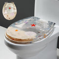 Toilet Seat Resin Toilet Seat 14.2' X 16.53' Heavy Duty Toilet Seat Soft Close, Quick Release Round Toilet Seat Slow Close with Stainless Steel Strong Hinges (One Color E)