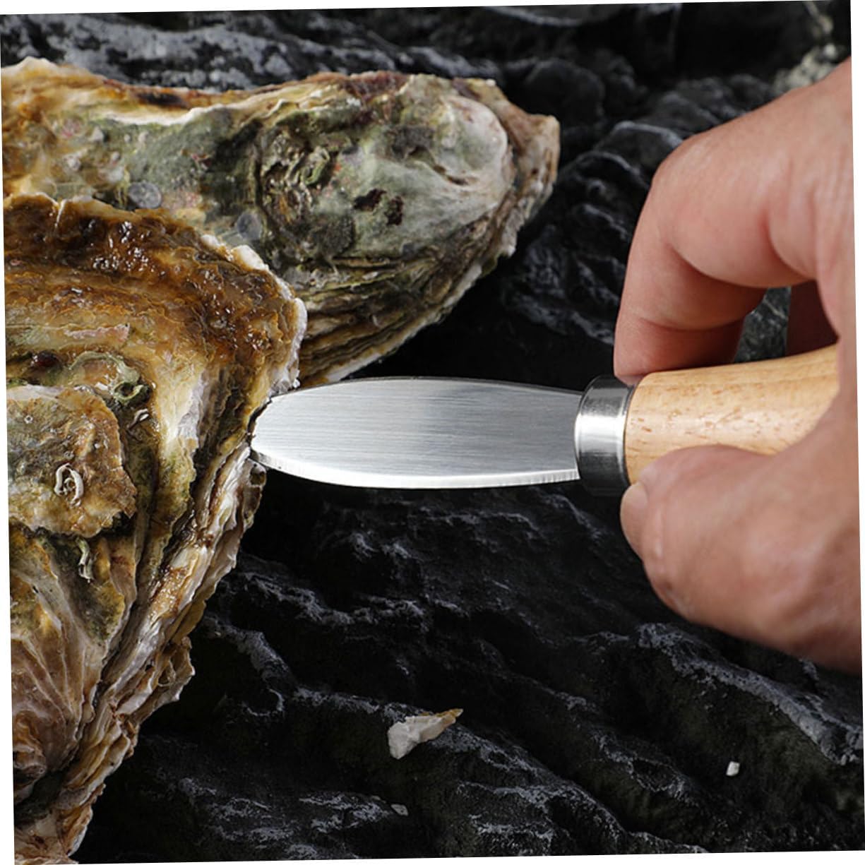 Oyster Scallops Oyster Shells Gadget Tools Shellfish Opener Seafood Tool Oyster Tool Metal Scallop Opener Oysters Shucking Supply Kitchen Essentials Necessity