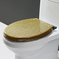 Round Resin Toilet Seat with Glitter Toilet Lid, Slow Close Toilet Seats Cover, Including Fixing Sets of Parts, Fit Most Standard U/V/O Toilet, Quiet Close (Gold 1)