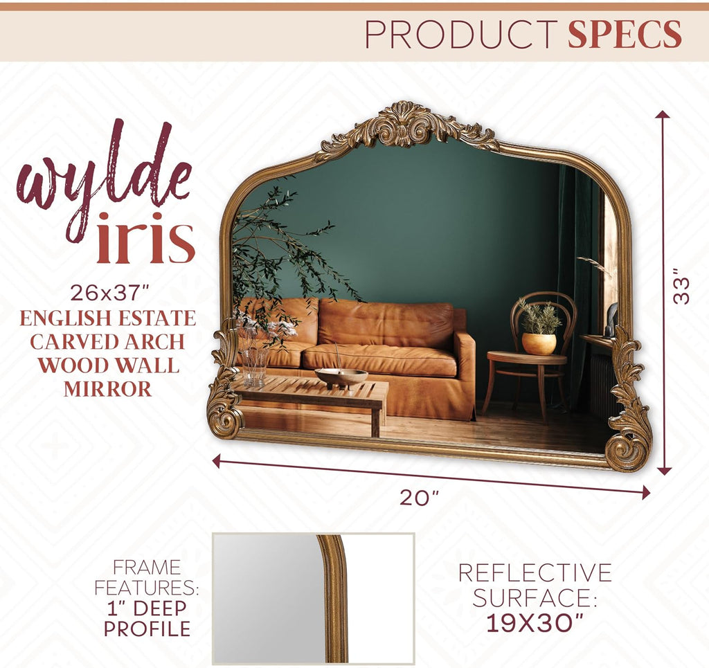 Wylde Iris English Estate Carved Arch Wood Wall Mirror, Mirror for Entryway, Living Room, Bathroom, Antique Gold, 26x37