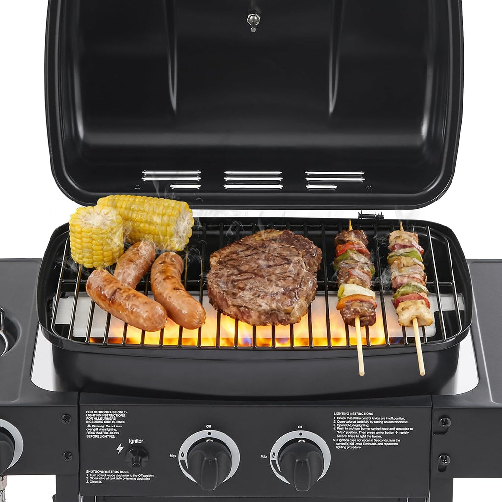 2 Burner Propane Gas Grill with Side Burner, 24000 BTU Stainless Steel Portable Bbq Grills, 237 Sq.In Cooking Area, Enameled Grates, Side Tables, Portable Freestanding for Patio Backyard Cooking