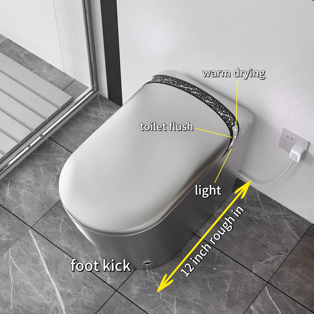 Sounor Modern Smart Toilet With Bidet Built In Self Cleaning Warm Water, Elongated Seat Heated Dryer,1.28 GPF Power Auto Flush,Auto Open/Close Lid,Starburst Night Light Display