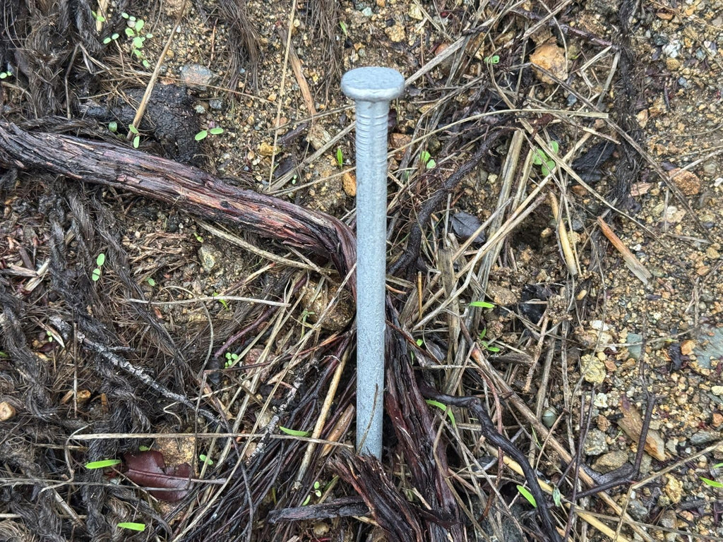 Sandbaggy 3/8' x 12' Landscape Spike Nails - Galvanized Timber Spikes - Construction, Landscape Edging, Framing, Landscape Fabric (3/8' x 12' (Galvanized), 200)