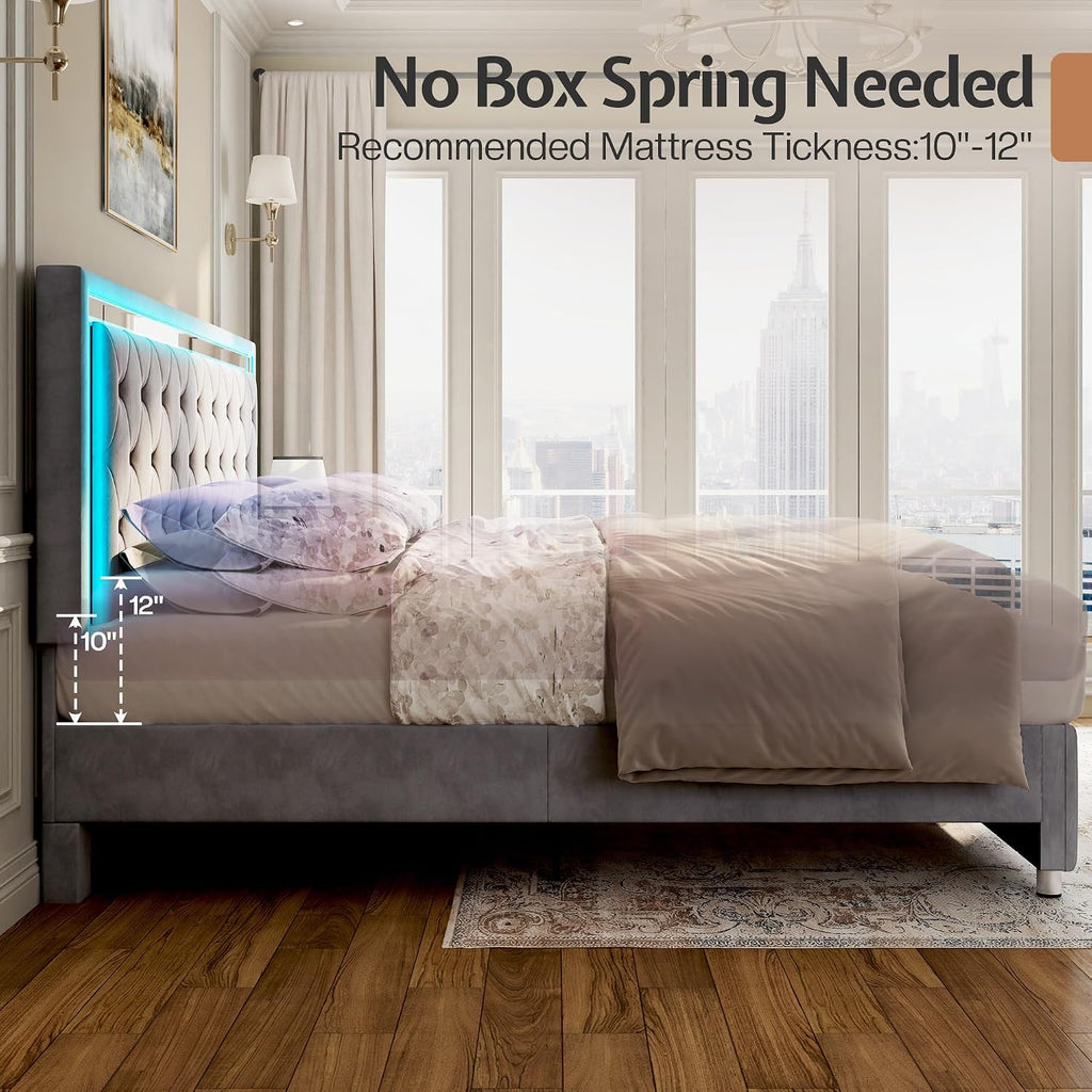 Jocisland Queen Bed Frame with LED Lights Headboard&Footboard, Velvet Upholstered Queen Size Platform Bed Frame No Box Spring Needed/Light Grey