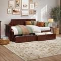 AFI Cambridge Twin Wood Daybed with Set of 2 Drawers in Walnut