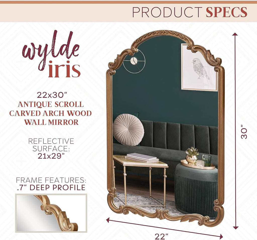 Wylde Iris English Estate Carved Arch Wood Wall Mirror, Mirror for Entryway, Living Room, Bathroom, Antique Gold, 22x30