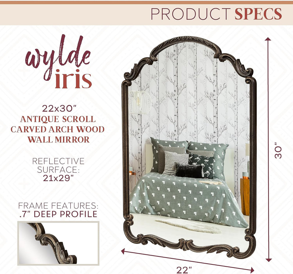 Wylde Iris English Estate Carved Arch Wood Wall Mirror, Mirror for Entryway, Living Room, Bathroom, Antique Black, 22x30
