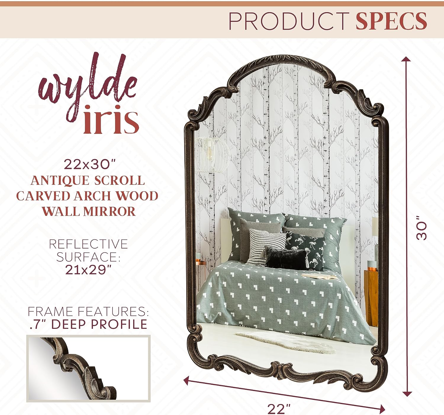 Wylde Iris English Estate Carved Arch Wood Wall Mirror, Mirror for Entryway, Living Room, Bathroom, Antique Black, 22x30