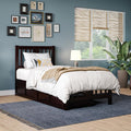 AFI, Tahoe Twin Platform Bed with Matching Footboard & Set of 2 Under-Bed Storage Drawers, Espresso